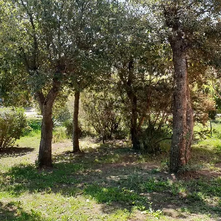 Couette-café A Vigna Vecchia D'hôtes 4*