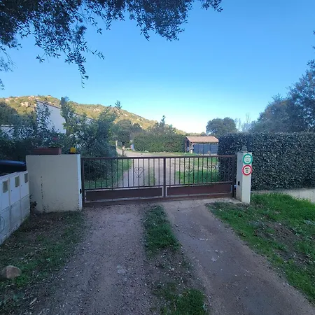 A Vigna Vecchia D'hotes 住宿加早餐酒店