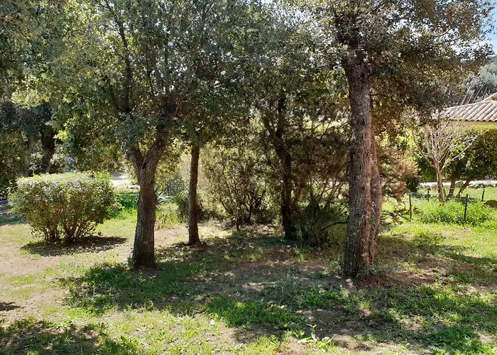 Bed and breakfast A Vigna Vecchia D'hotes 4*