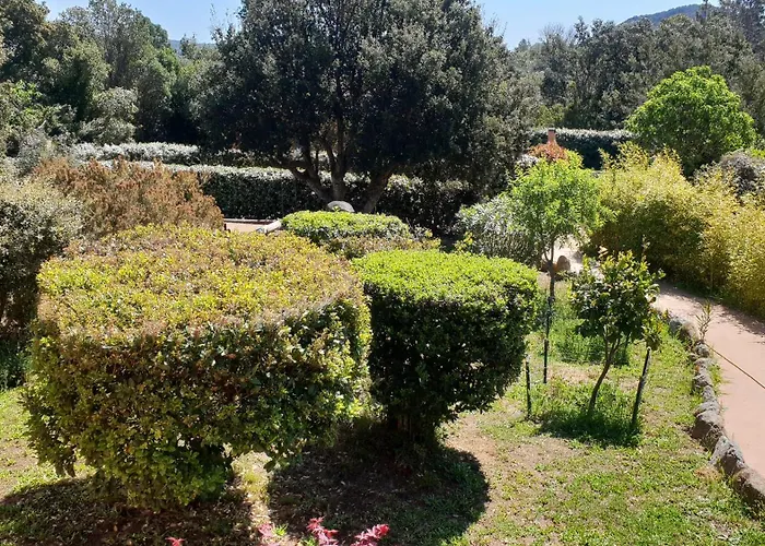 A Vigna Vecchia D'hotes Bed and breakfast Porto Vecchio